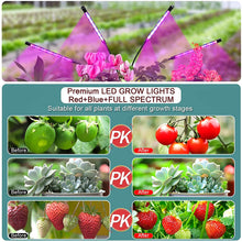 Load image into Gallery viewer, LED Grow Lights for Indoor Plants Full Spectrum Plant Light with 4-Head LED Grow Light, 15-60 inches Adjustable Tripod Stand, Red Blue White Floor Grow Lamp with 4/8/12H Timer with Remote Control