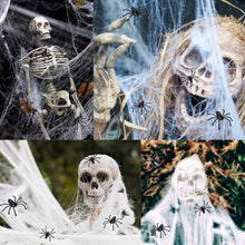 Load image into Gallery viewer, Funsmile Halloween Spider Decorations Set 5ft Giant Spider 16.4ft Spider Webs 20 Small Spiders Cotton Wool Yard Home Party Haunted Decor