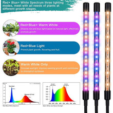 Load image into Gallery viewer, LED Grow Lights for Indoor Plants Full Spectrum Plant Light with 4-Head LED Grow Light, 15-60 inches Adjustable Tripod Stand, Red Blue White Floor Grow Lamp with 4/8/12H Timer with Remote Control