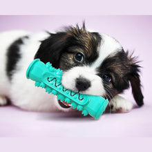 Load image into Gallery viewer, Cowin Dog Chew Toys Toothbrush Dog Toys for Aggressive Chewers Large Breed Doggy Brushing Stick Extremely Durable for 25-70 LBS Medium Large Dogs