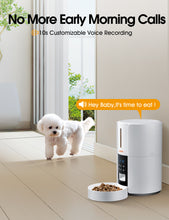 Load image into Gallery viewer, Automatic Cat Feeders,5L Schedule Feeding Pet Dry Food Dispenser for Cats,10s Voice Recording
