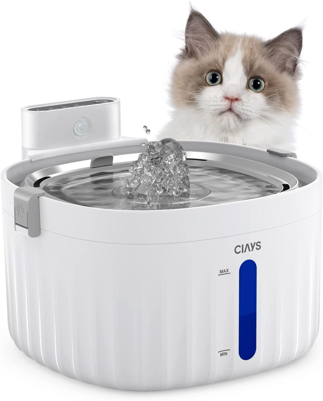 Clearance pet fountain
