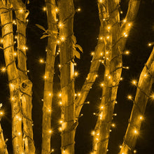 Load image into Gallery viewer, Funsmile Christmas String Lights LED Twinkle Cluster Lights 82Ft 200Led 8 Modes Timer Memory Function for Christmas Xmas Tree Holiday Party Garden Warm White
