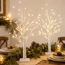 Load image into Gallery viewer, White Birch Tree with Lights, 2 Pack 2FT Christmas Tree with 24 LED Decorations Indoor, Table Top Decor for Home Decor Halloween Valentines Holiday Party
