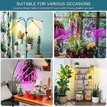 Load image into Gallery viewer, LED Grow Lights for Indoor Plants Full Spectrum Plant Light with 4-Head LED Grow Light, 15-60 inches Adjustable Tripod Stand, Red Blue White Floor Grow Lamp with 4/8/12H Timer with Remote Control
