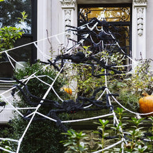 Load image into Gallery viewer, Funsmile Halloween Spider Decorations Set 5ft Giant Spider 16.4ft Spider Webs 20 Small Spiders Cotton Wool Yard Home Party Haunted Decor
