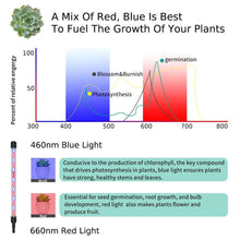 Load image into Gallery viewer, Meidong LED Grow Lights for Indoor Plants, 30W Full Spectrum Plant Lights with Auto ON/Off 3/9/12H Automatic Timer 5 Dimmable Brightness Levels for Indoor Succulent Plants Growth
