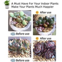 Load image into Gallery viewer, Meidong LED Grow Lights for Indoor Plants, 30W Full Spectrum Plant Lights with Auto ON/Off 3/9/12H Automatic Timer 5 Dimmable Brightness Levels for Indoor Succulent Plants Growth
