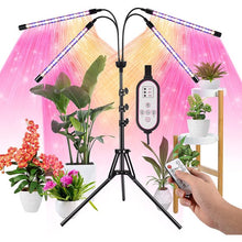 Load image into Gallery viewer, LED Grow Lights for Indoor Plants Full Spectrum Plant Light with 4-Head LED Grow Light, 15-60 inches Adjustable Tripod Stand, Red Blue White Floor Grow Lamp with 4/8/12H Timer with Remote Control
